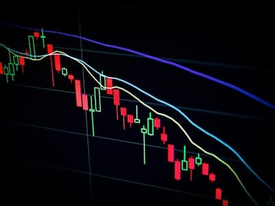 金融・投資
